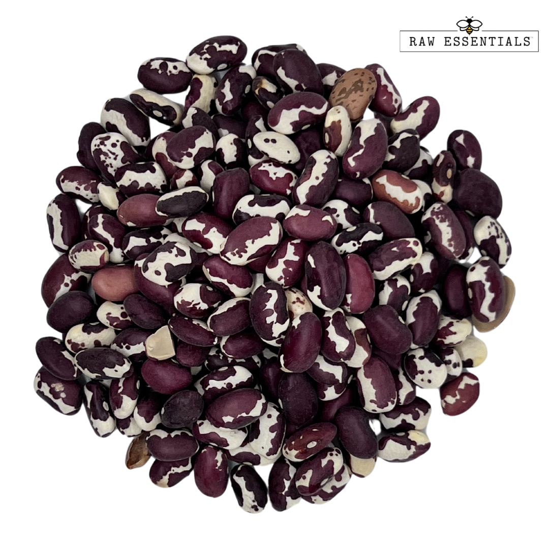 Heirloom Anasazi Beans