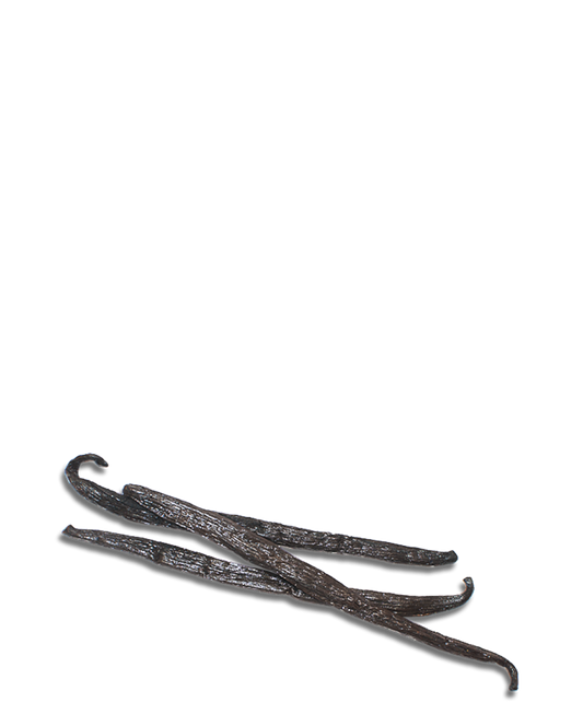 Madagascar Vanilla Bean | Raw Essentials